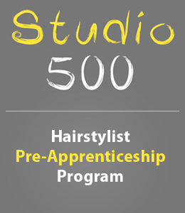 Pre-Apprentice Hairstyling Program