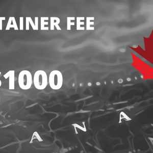 Immigration Consulting - Retainer Fees ($1000)