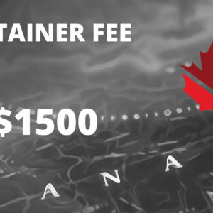 Immigration Consulting - Retainer Fee (1500)