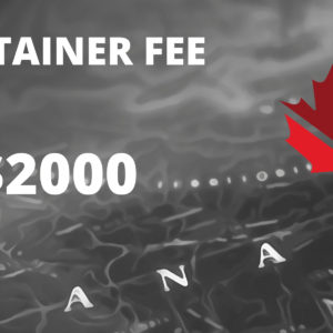 Immigration Consulting Fees ($2000)