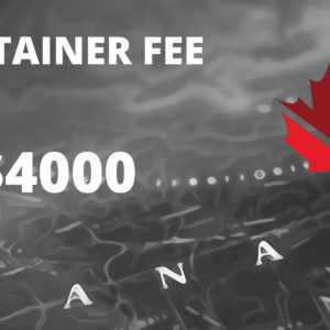 Immigration Consulting Fees ($4000)