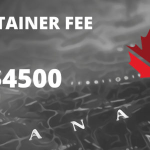 Immigration Consulting Fees ($4500)