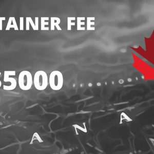 Immigration Consulting Fees ($5000)