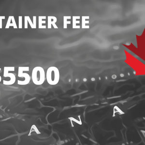 Immigration Consulting Fees ($5500)