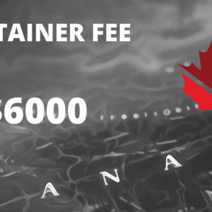 Immigration Consulting Fees ($6000)
