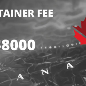 Immigration Consulting Fees ($8000)