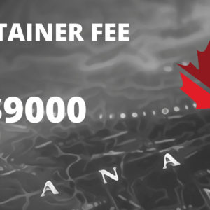 Immigration Consulting Fees ($9000)